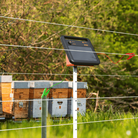 Beehive KM