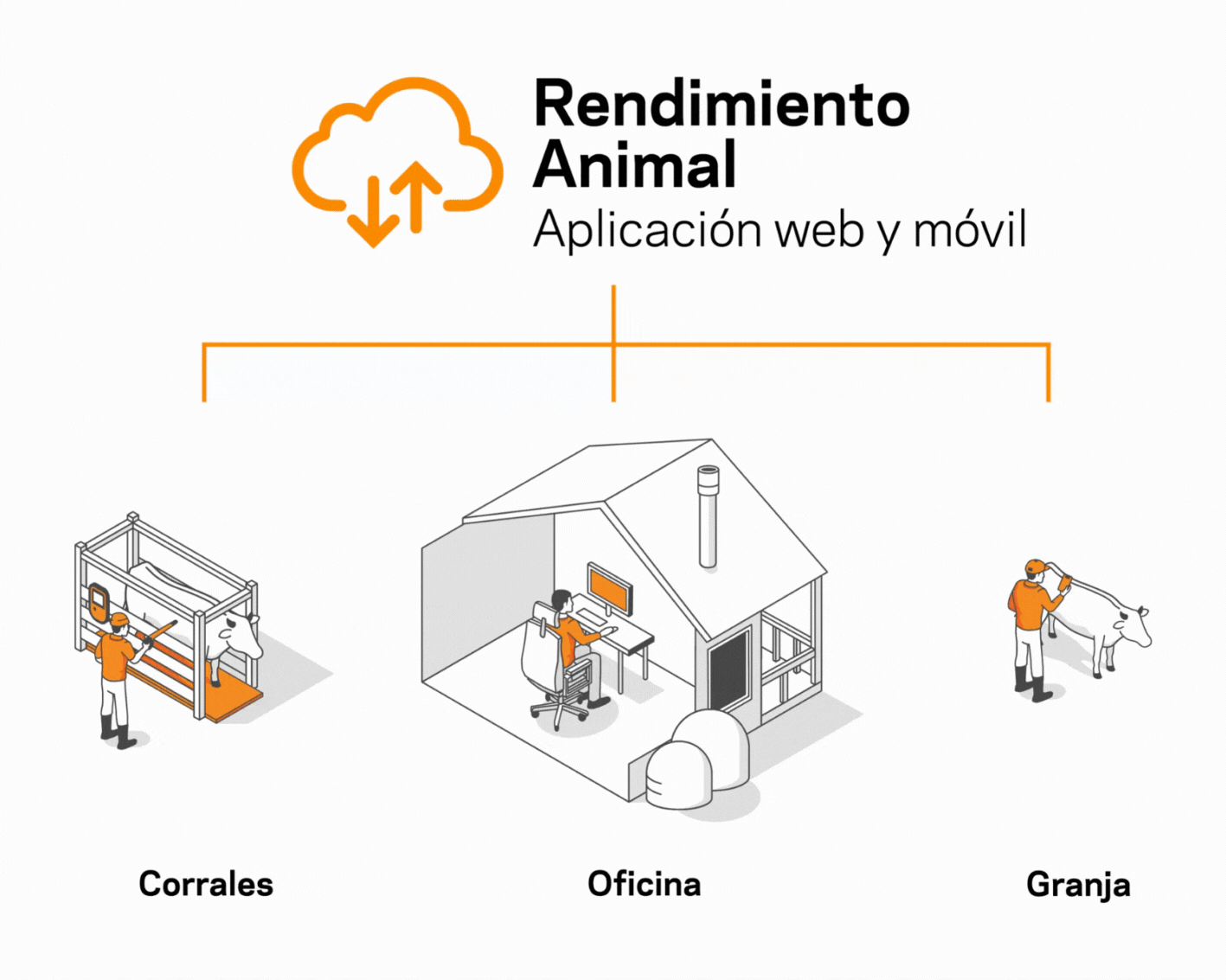 Rendimiento Animal