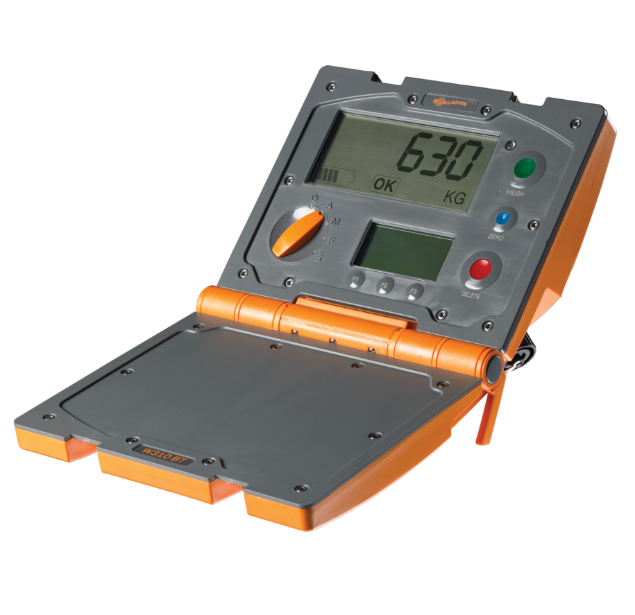 Clear Cut for Presentations-W310 BT Weigh Scale G01305 Large