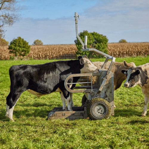 auto weigher