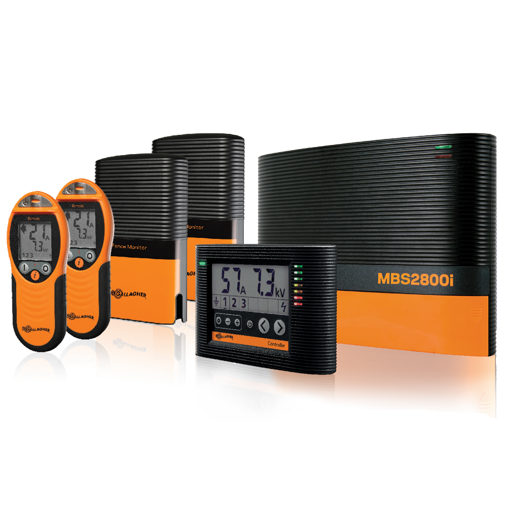 i Series Energizer Professional Pack