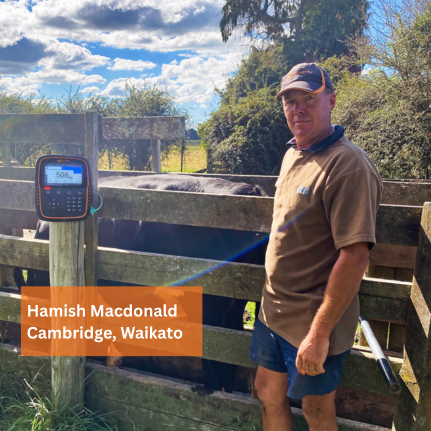 Hamish Macdonald, a sheep and beef farmer based in Cambridge, Waikato.
