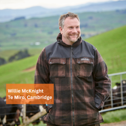 Willie McKnight farms in Te Miro, Cambridge.
