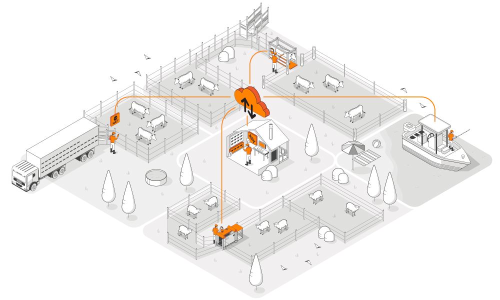 Angus Farm Infographic Angus Farm Infographic
