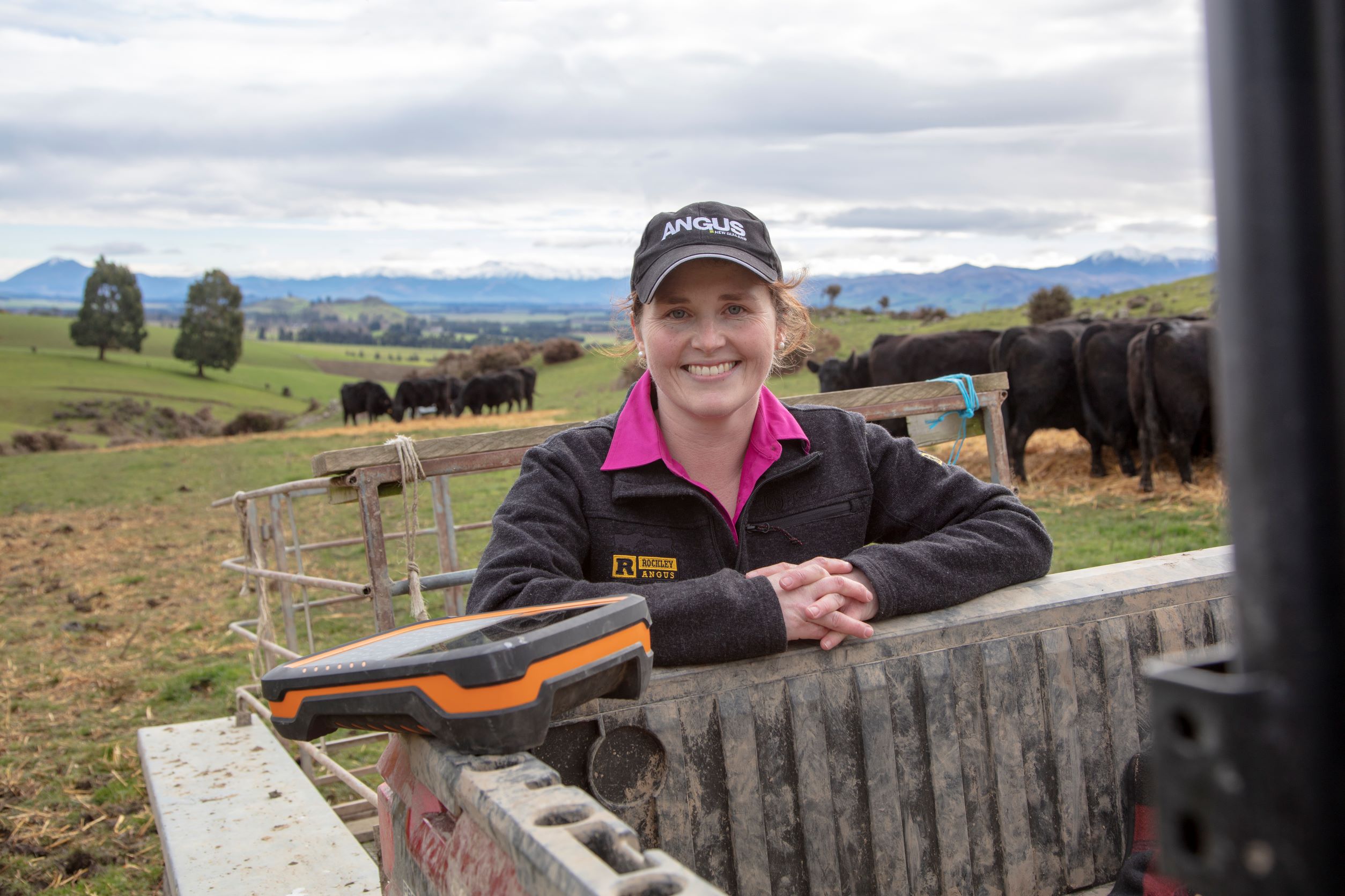 Rockley Angus - Katherine McCallum Rockley Angus - Katherine McCallum