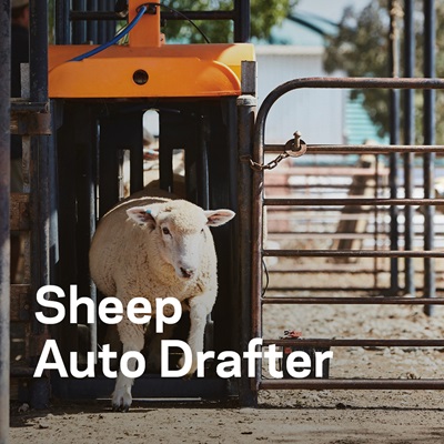 GAU Connected Farm awareness campaign - Sheep Auto Drafter