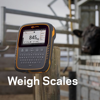 GAU Connected Farm awareness campaign - Weigh Scales