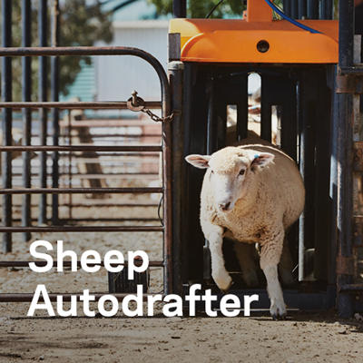 sheep autodrafter