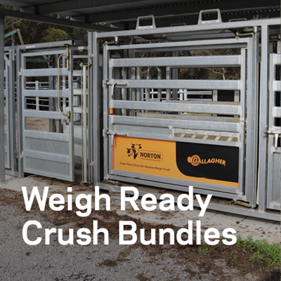 weigh ready bundles