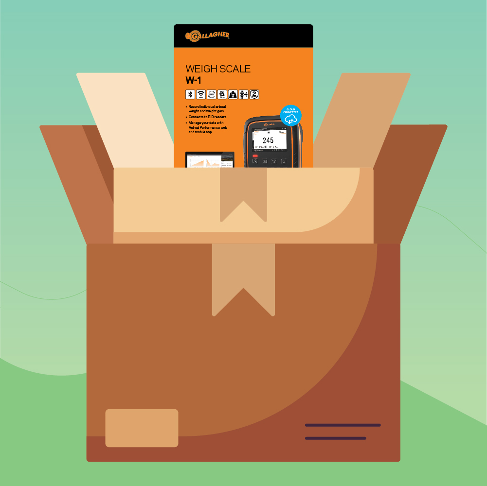 Reducing space in cartons - Sustainability at Gallagher Reducing space in cartons - Sustainability at Gallagher