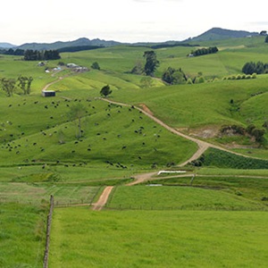 Farm-Landscape