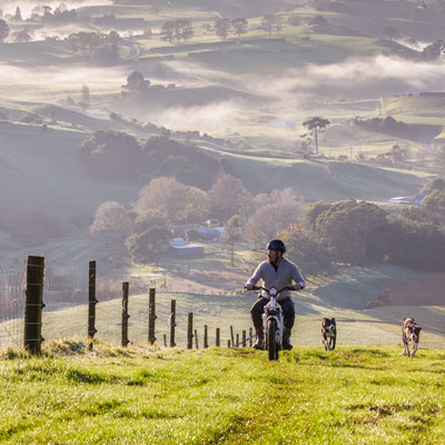 Farmer-on-bike-with-dogs Farmer-on-bike-with-dogs