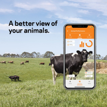 A better view of your animals