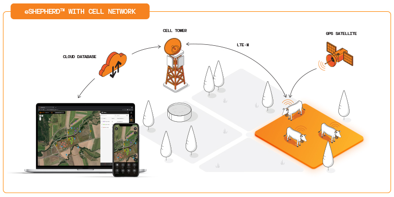 eShep Cell Network