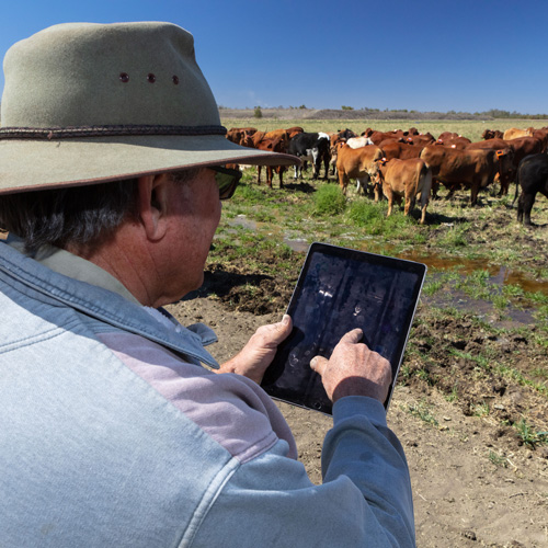 eshepherd farmer with tablet