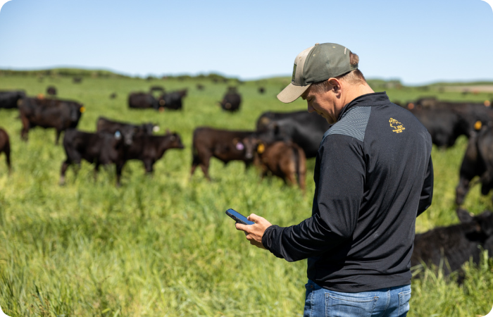 eShepherd for Rotational Grazing at Scale