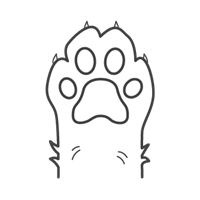 Problemas con las trampas convencionales 3