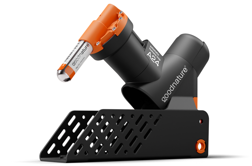 Goodnature-A24-Trap Goodnature-A24-Trap