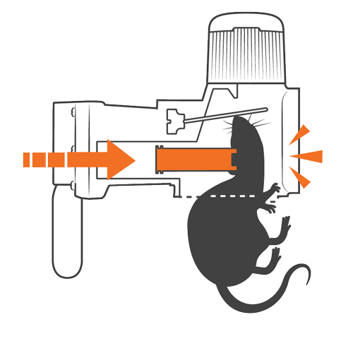 Goodnature Cómo funciona paso 2 Goodnature Cómo funciona paso 2