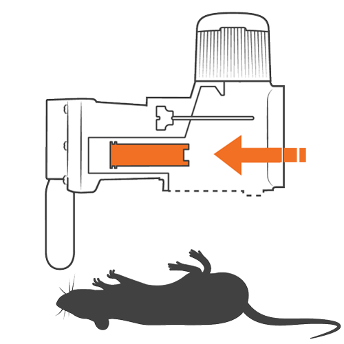 Goodnature Cómo funciona paso 3 Goodnature Cómo funciona paso 3