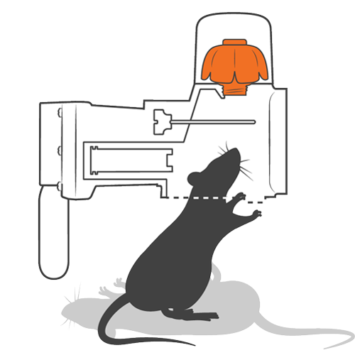 Goodnature Rat/mouse trap automatic A24 - Pest