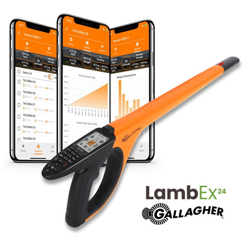 Lambex
