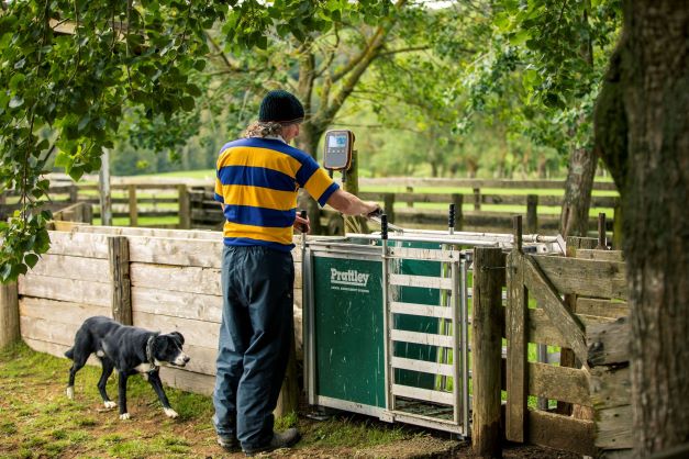 Darren Smith Gallagher Territory Manager Darren Smith Gallagher Territory Manager