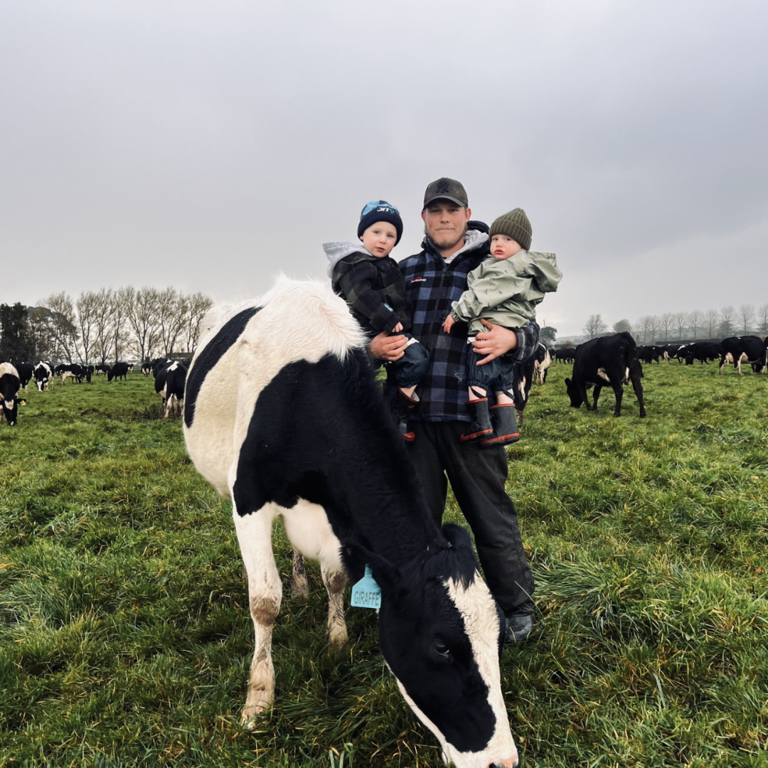 Image of Central Taranaki contract milker Buddy Sharpe standing in a field with cows while holding his two sons