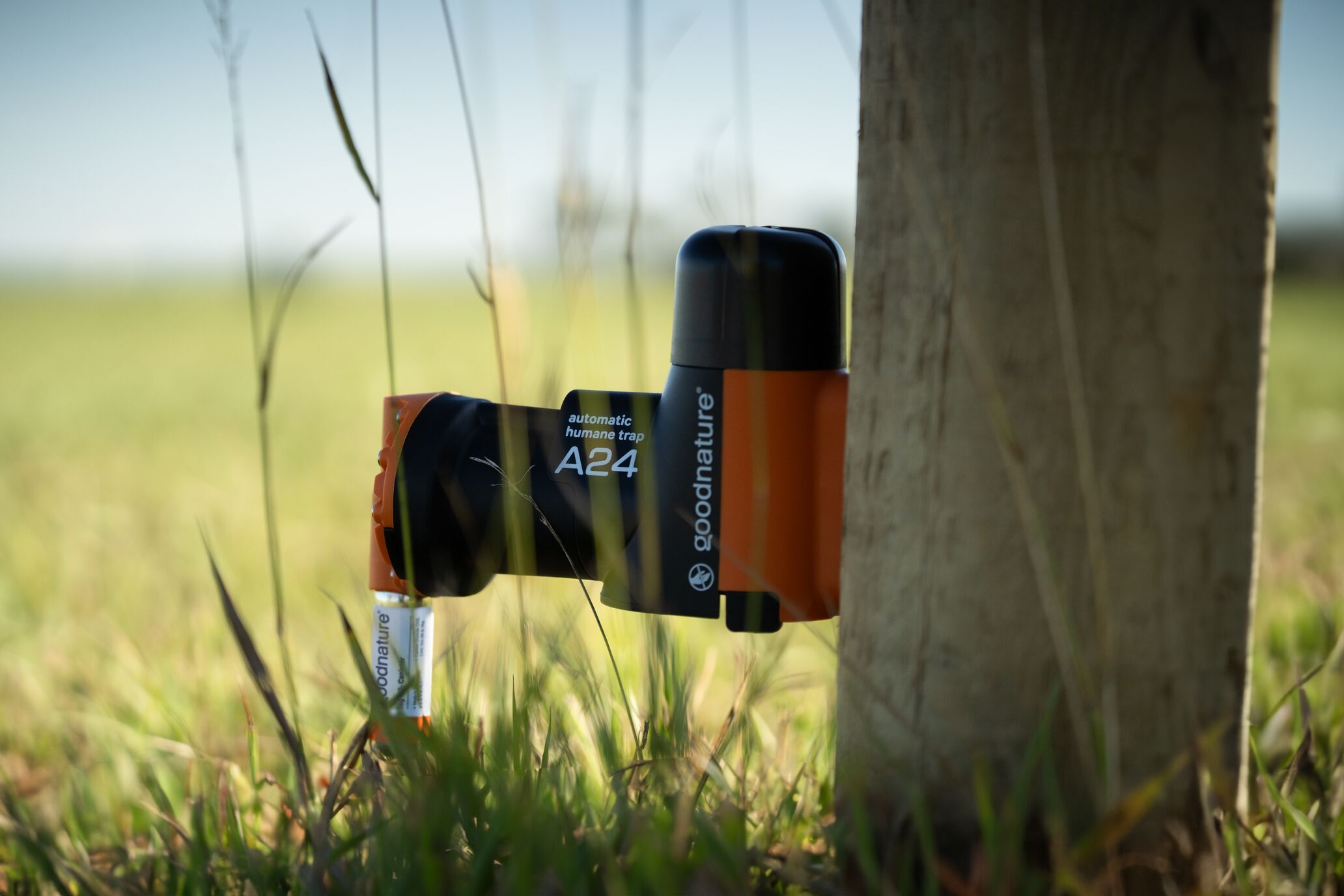 Goodnature starter trap attached to a fence post in a paddock