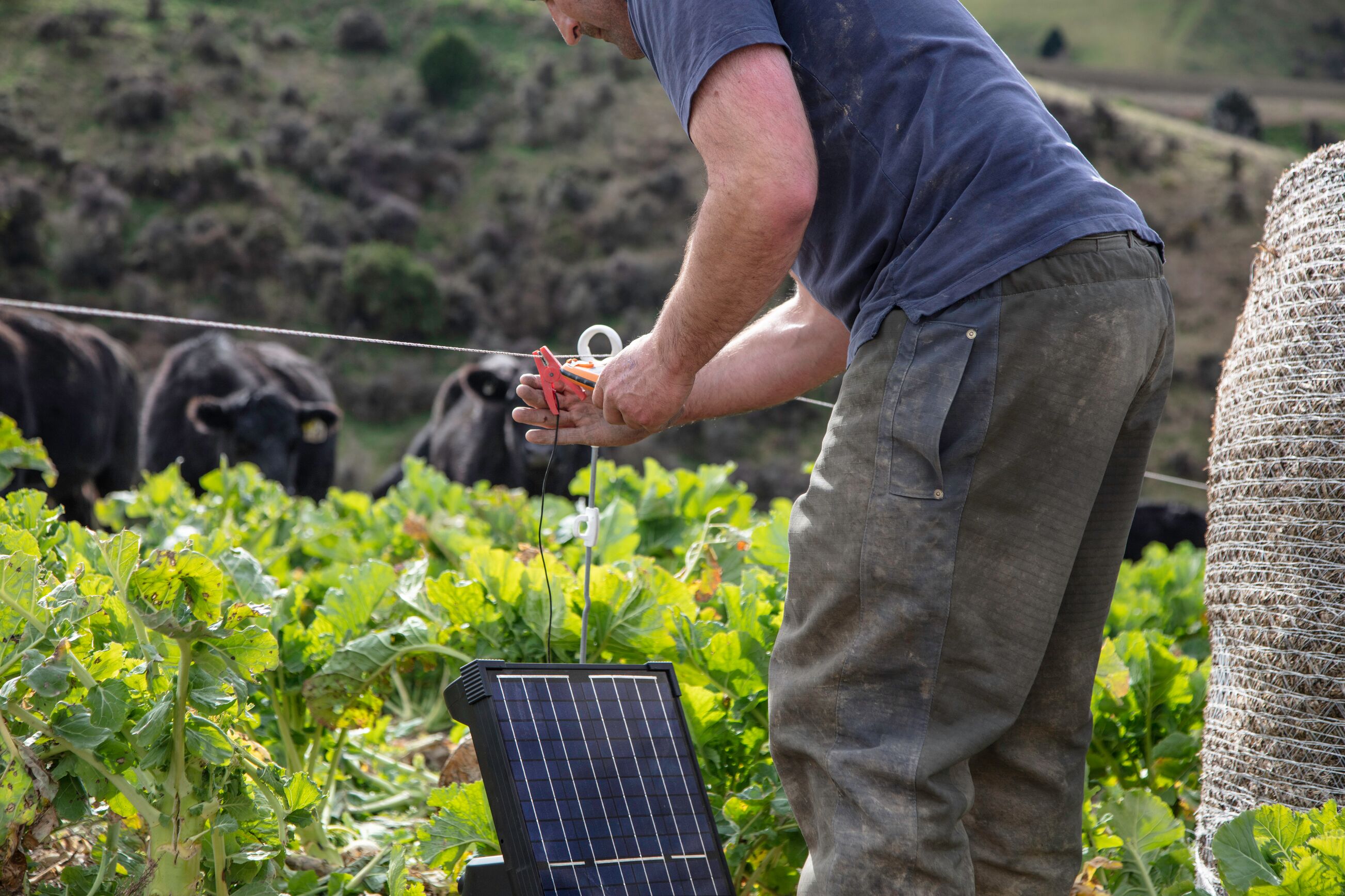 Solar Powered Fence Energizer