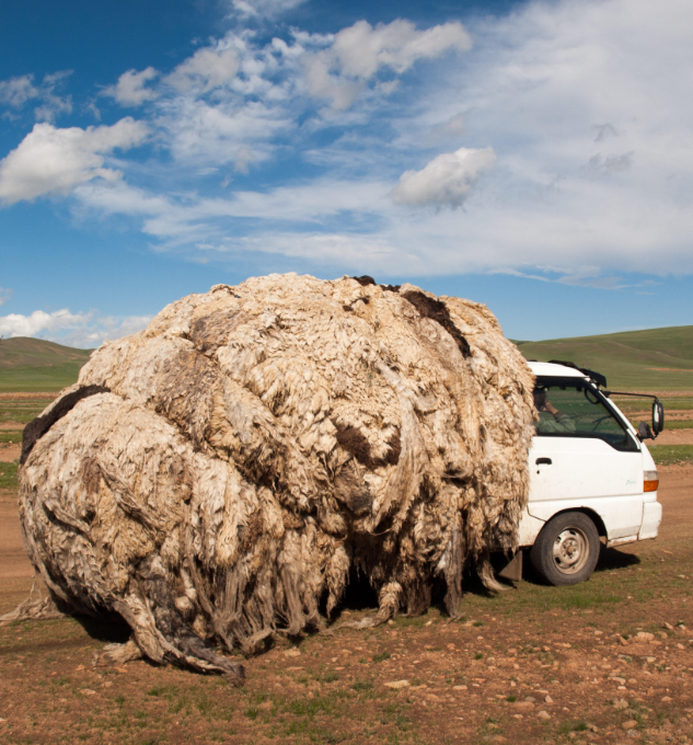 Mongolia Wool