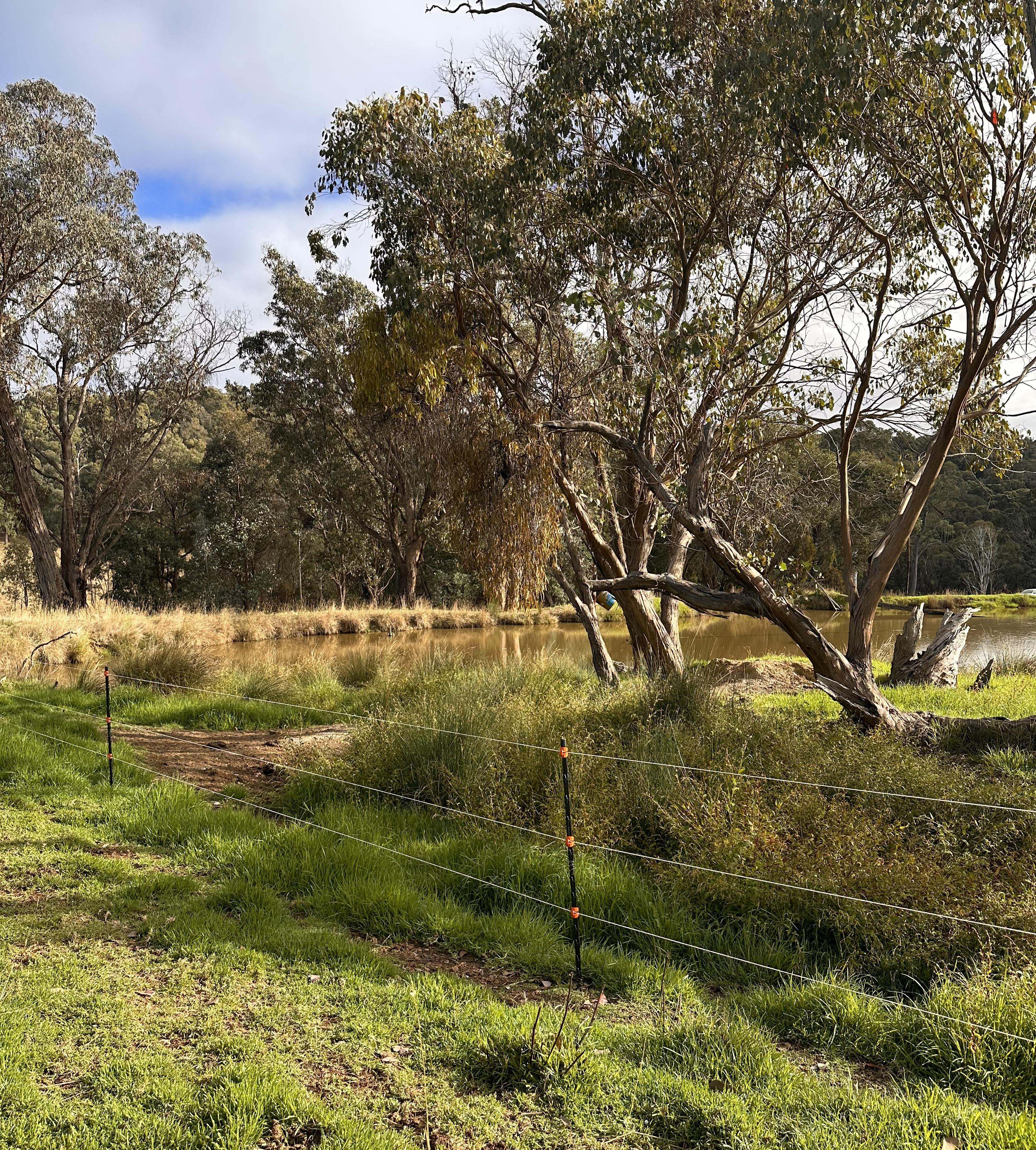 A fenced farm dam