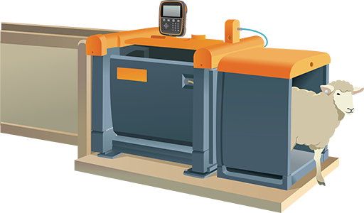 Gallagher Sheep Auto Drafter