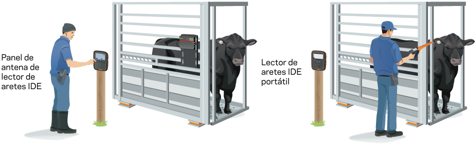 Lector de aretes portatil