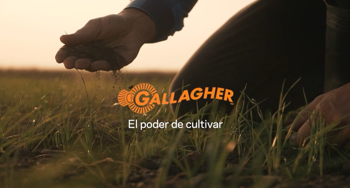 Mango tensor de alambre  Gallagher América Latina